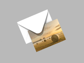 To buy a print or any of the below please click on the images